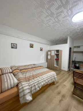 Charming apart near Center
